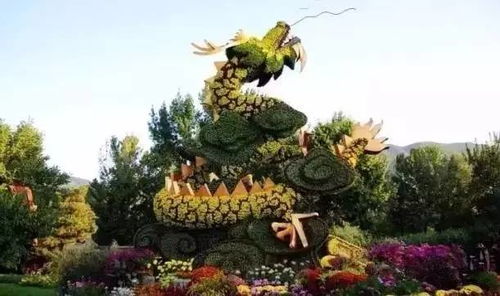 常见绿雕草的特点