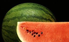 西瓜：年种一季，爆款花卉周期长