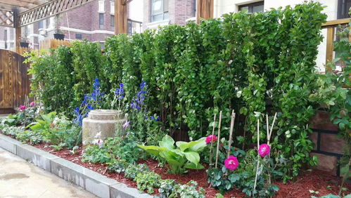 园林绿化常用的花卉种类有彳艮多