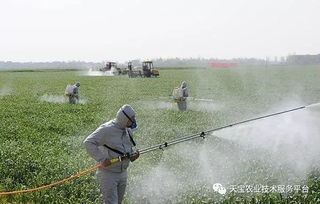 云南特有的植物资源