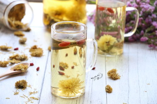 黄芪菊花金银花枸杞茶，哪些人群不宜饮用