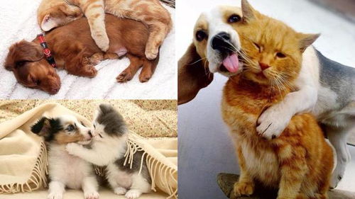 敌敌畏农药的致命剂量