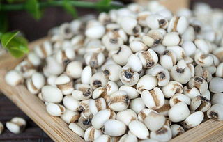 薏米种植的成本控制实例