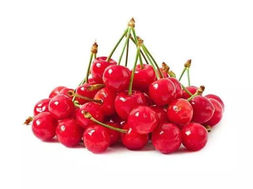 樱桃保鲜新科技：高效延长鲜果魅力