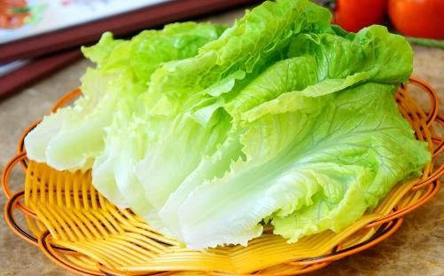 生菜用水培还是土培？哪种方式能让生菜更鲜嫩