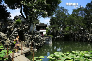 狮子林的假山：苏州园林中的“假山王国”