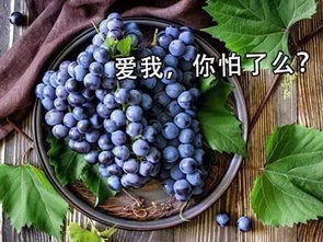 喷雾器要选对， 雾化效果要好