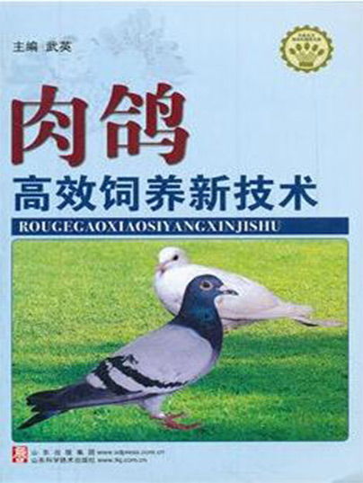 农业养殖新要点：科学饲养