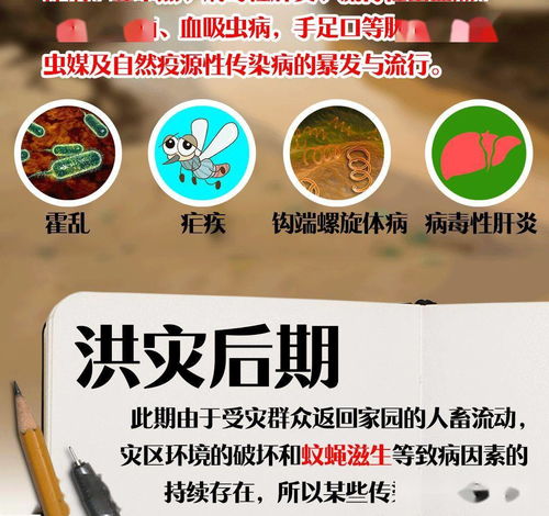 使用百菌清的小贴士