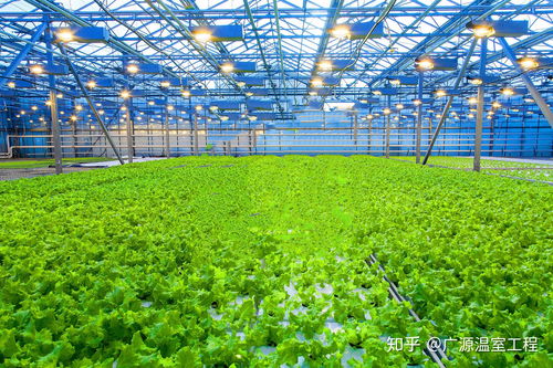 “绿色植物病害防控技术”