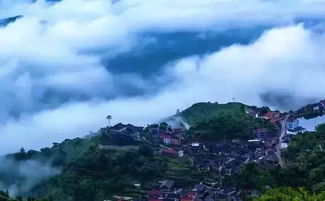 贵州雷山红米熟了，探寻古老农耕文化的传承与魅力
