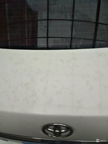 腐蚀， 斑点，腐蚀，再来一遍