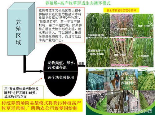 如何通过猪场试验数据表分析，降低饲料成本15%？