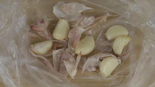 蒜头发芽了怎么办？教你变废为宝