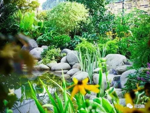 植物配置实战案例：新手如何根据不同场景选择植物？