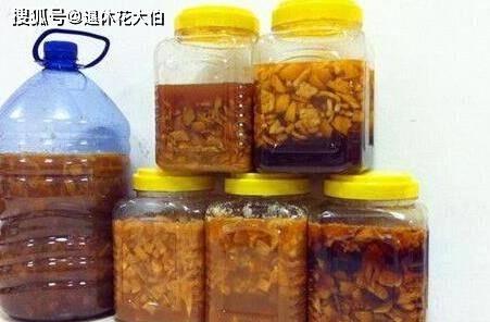 二、果皮果核：废物利用的创意达人