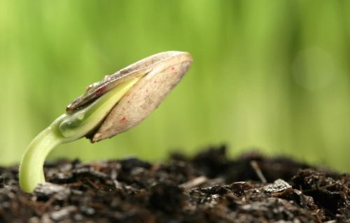 手机修图，要小心啊！