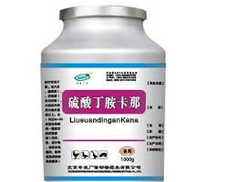 硫酸丁胺卡那：广谱抗菌