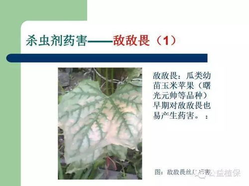 石硫合剂使用过程中，其危害是否与硫磺杀虫剂相似，对环境和人体健康有哪些潜在风险？