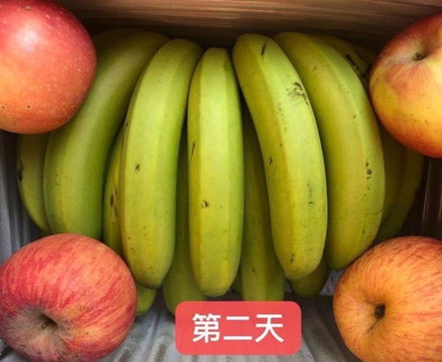 苹果和香蕉催熟剂效果哪个更好，如何判断？