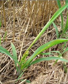 新手常见问题，破解之道