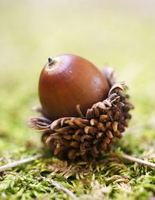 遇到不后来啊怎么办？