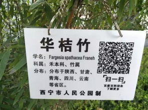 植物二维码：大自然的小秘密书