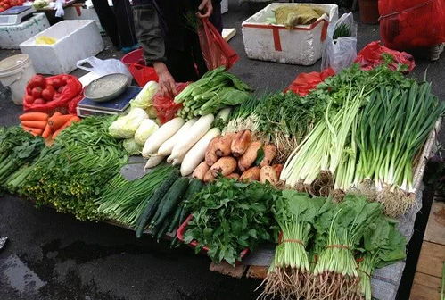 反季节蔬菜的种植