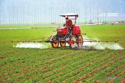 酰胺类：细胞分裂的拦路虎