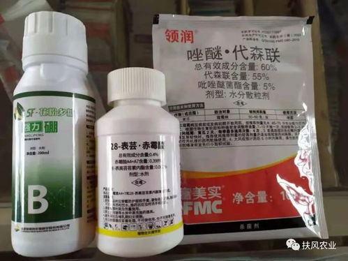 雨前喷药的优势