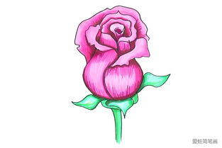 画玫瑰花教程：先画圆圈