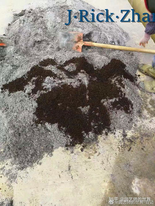 红地肤养殖技术中，如何根据不同生长阶段进行有效的红地肤养护管理