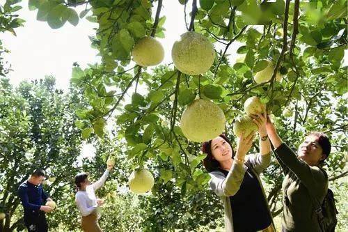 慢慢成长，等待花开的时刻