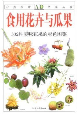 探索自然的盘中芬芳：初学者的可食用花草植物之旅