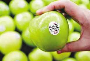 防范为主，综合治理