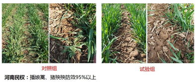 京博农化：忠孝仁爱， 品质过硬