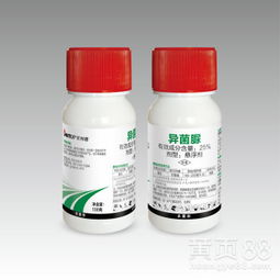 春雷霉素：叶瘟的克星