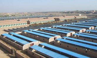 农业养殖设备研发与生产，助力现代化养殖产业升级