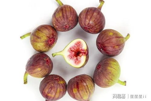 无花果种子种植，从选种到成树
