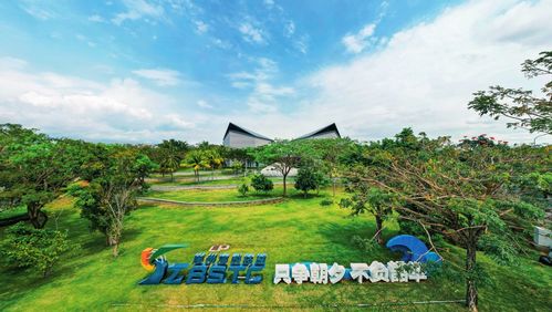 混播草地朝向影响日照，优化布局提升光合作用