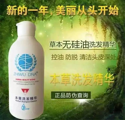 红松林的生态平衡