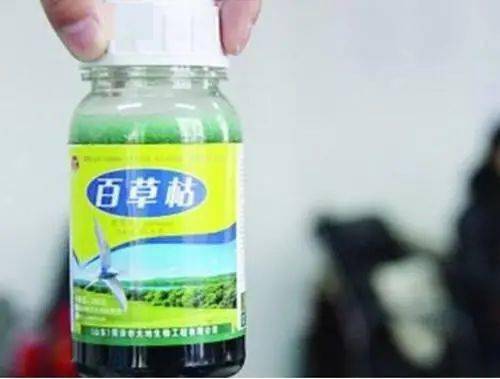 希望：科技进步带来一线曙光