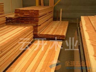 购买红雪松的建议