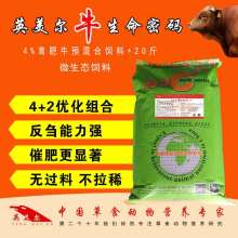 如何通过生物科技饲料推广，有效识别日常生活中的转基因食品？