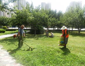 违反养护规定的后果