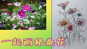 藤本月季：拱门的完美搭档