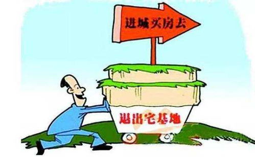 种什么菜好？得kan市场需求