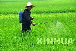 敌草快， 除草猛将