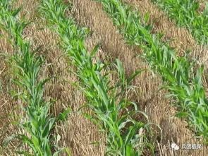 3. 救救措施，及时处理