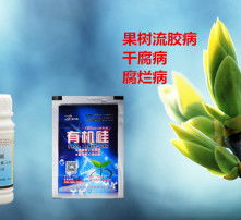 猕猴桃黄叶病用什么高效药物进行治疗